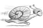 snail with a helmet racing forward