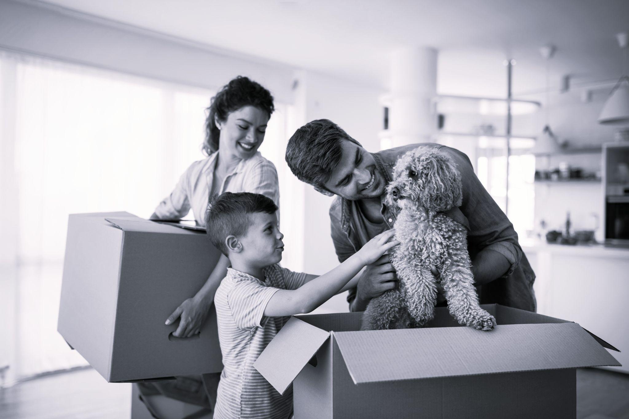 Renter family moving in with a dog Renter family moving in with a dog